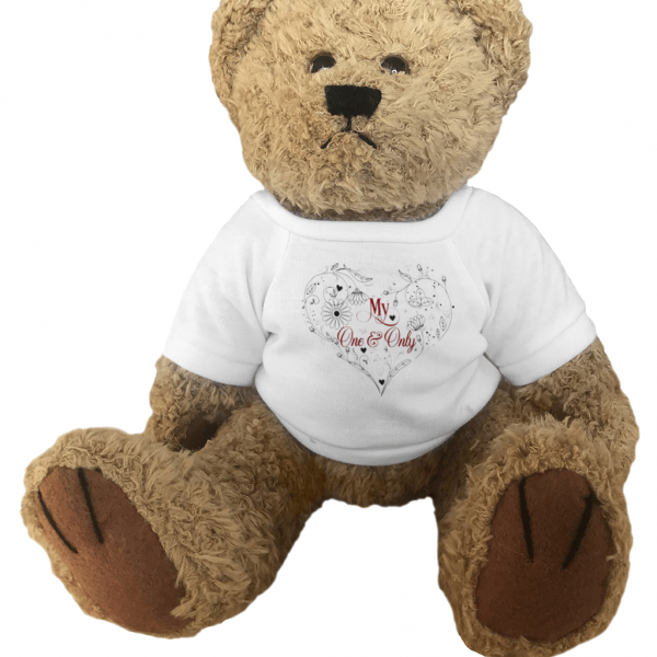 My One & Only Teddy Bear